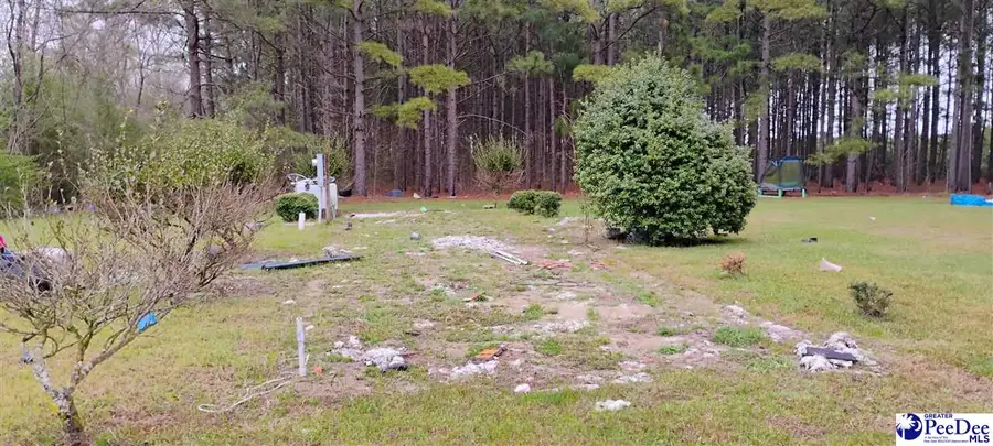 5103 Wheeler, Coward, SC 29530 - #3