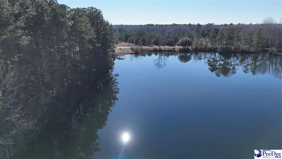 352 Lynch Rd, Coward, SC 29530 - #3