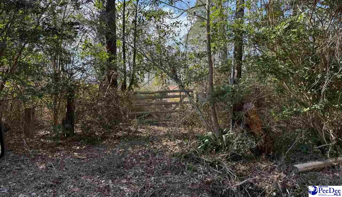 331 Lookout Ct., Marion, SC 29571 - #1