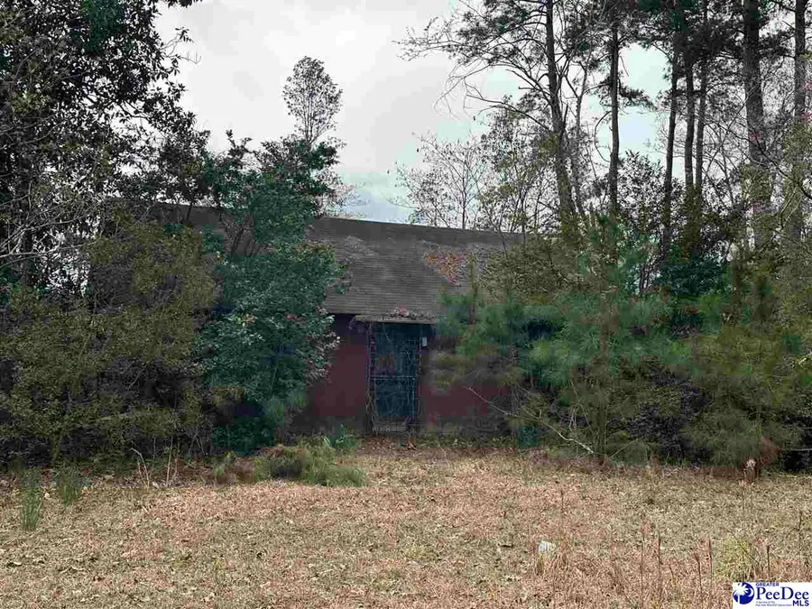 331 Lookout Ct., Marion, SC 29571 - #2