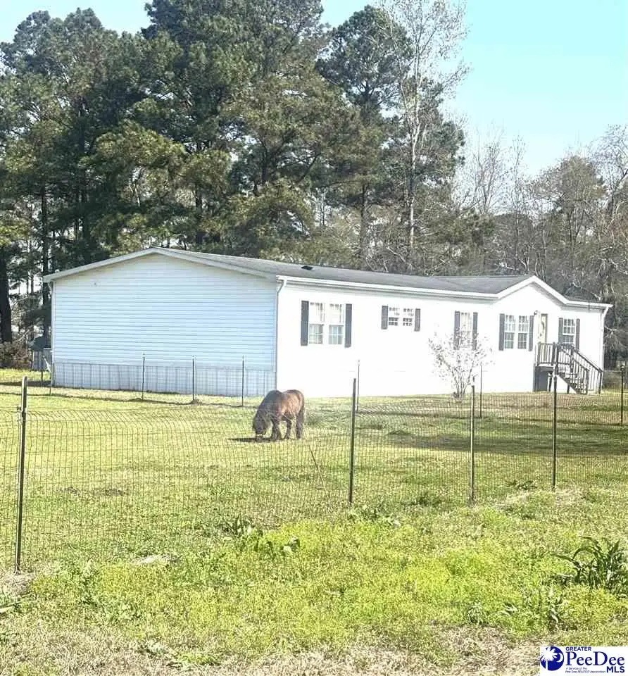 1925 Sun Valley Ct, Marion, SC 29571 - #2