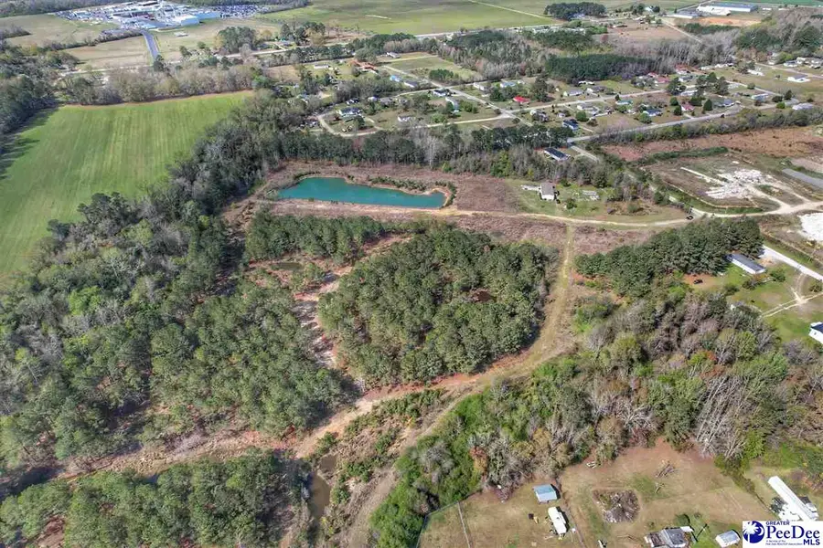 1824 Germantown Place, Dillon, SC 29536 - #3