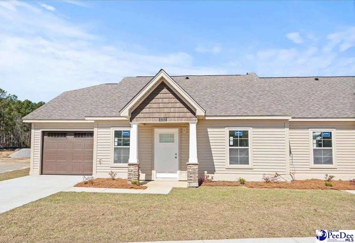 1717 Tuxedo Junction, Effingham, SC 29541 - #1