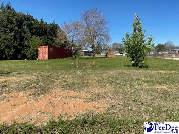 2235 Ashford Road, Effingham, SC 29541-4305