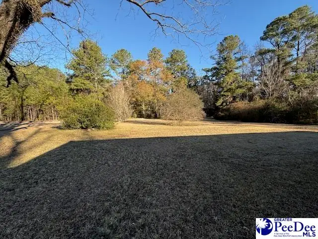 2260 Old Spring Rd, Lake City, SC 29560 - #3