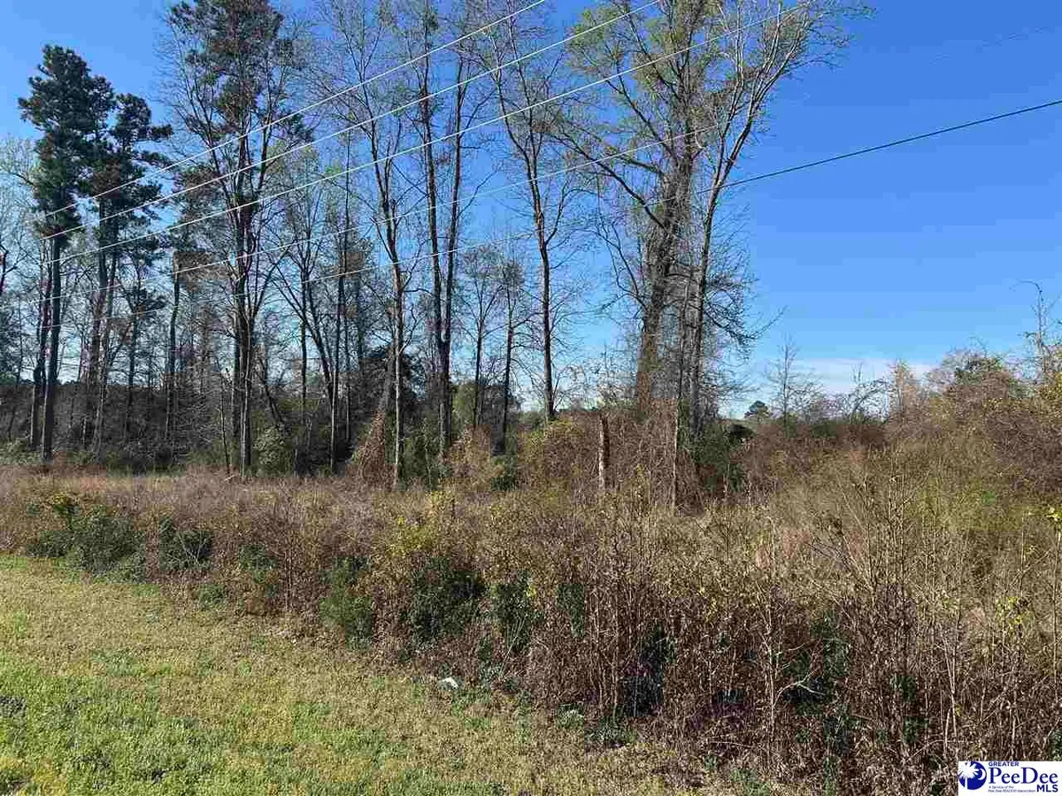 TBD S Highway 38, Bennettsville, SC 29512 - #1