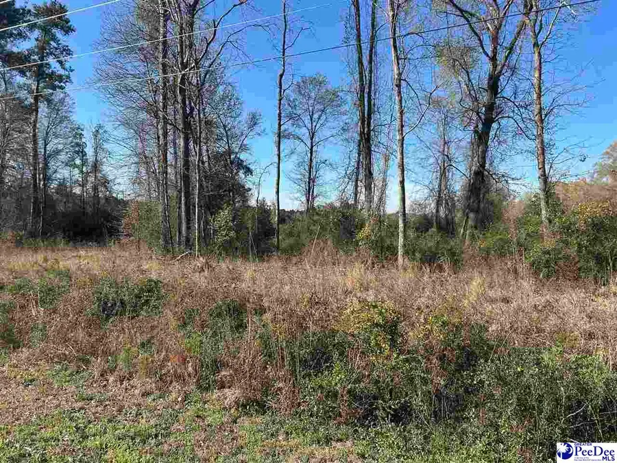 TBD S Highway 38, Bennettsville, SC 29512 - #3