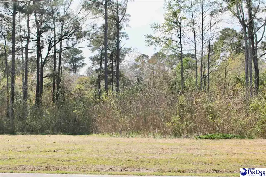 123 S Country Club Rd, Lake City, SC 29560 - #2