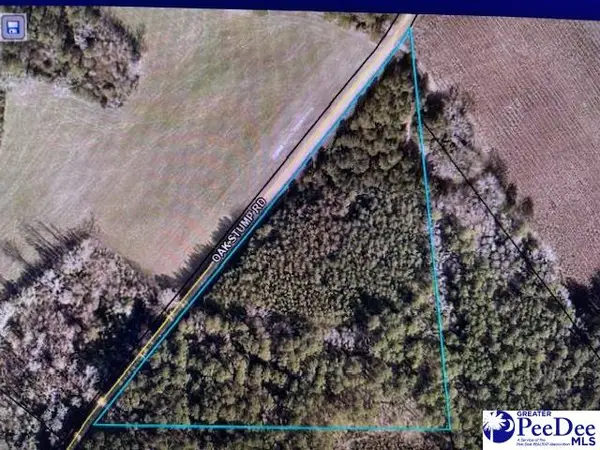 TBD Oak Stump Rd, Timmonsville, SC 29161-0000