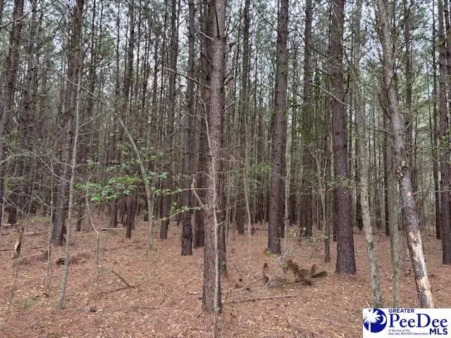 TBD Oak Stump Rd, Timmonsville, SC 29161-0000 - #2