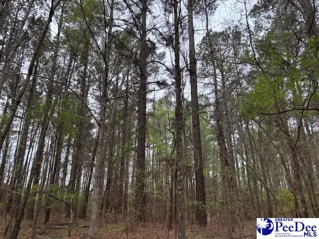 TBD Oak Stump Rd, Timmonsville, SC 29161-0000 - #3