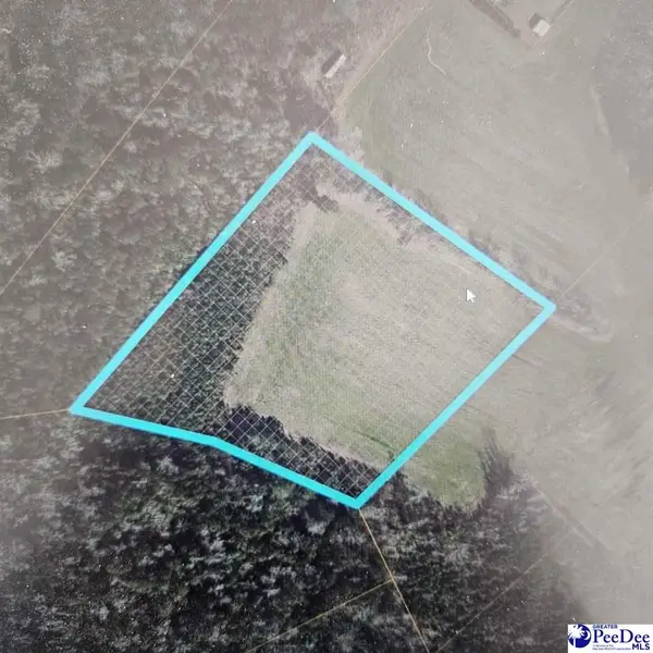 TBD Fries Bay Road, Loris, SC 29569