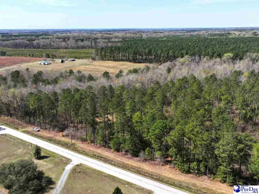 Tract 4 Zoar Rd, Chesterfield, SC 29709 - #2