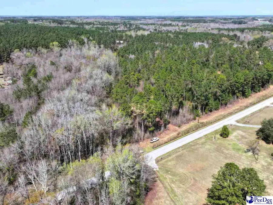 Tract 4 Zoar Rd, Chesterfield, SC 29709 - #3