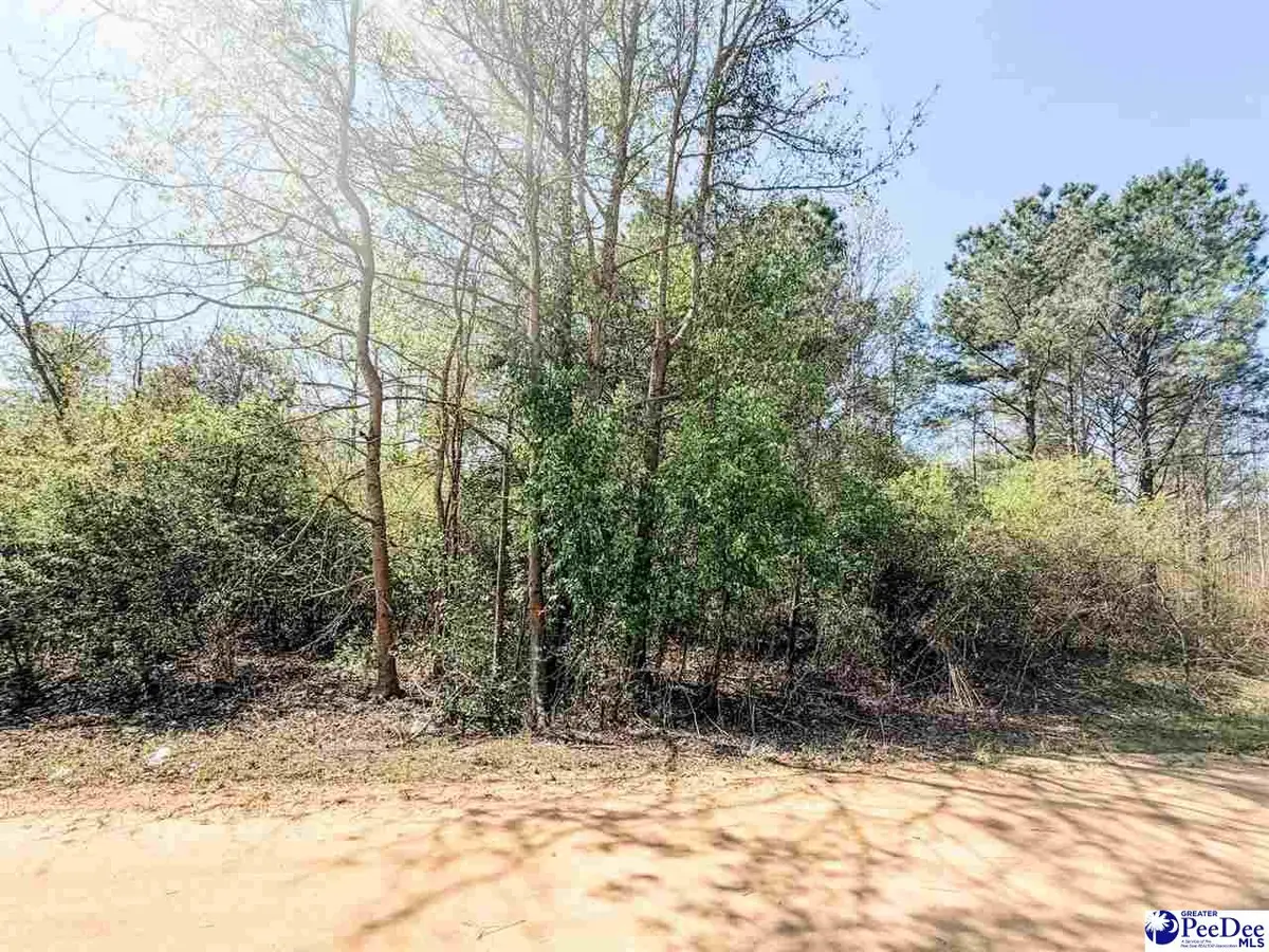 TBD Judsons Meadow Phase Ll, Little Rock, SC 29536 - #1