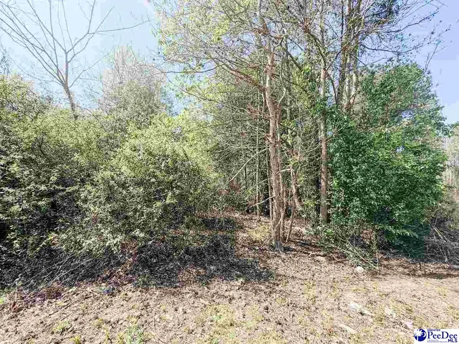 TBD Judsons Meadow Phase Ll, Little Rock, SC 29536 - #2