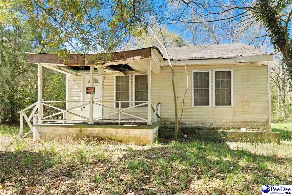 307 Madison Ave, Kingstree, SC 29556 - #1