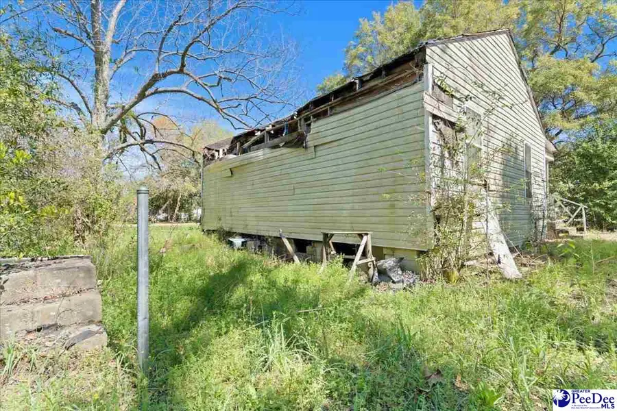 307 Madison Ave, Kingstree, SC 29556 - #3