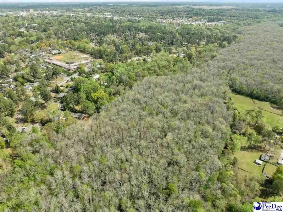 726 Wisteria Drive, Florence, SC 29501 - #3