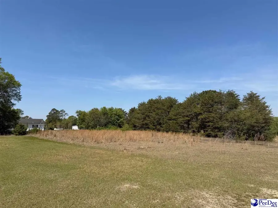 E Main Street, Dillon, SC 29536 - #2