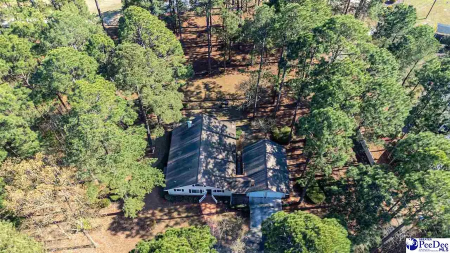 1110 Beechtree Court, North Hartsville, SC 29550 - #3