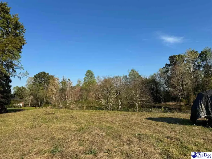 3616 Santana Ct., Florence, SC 29505 - #3