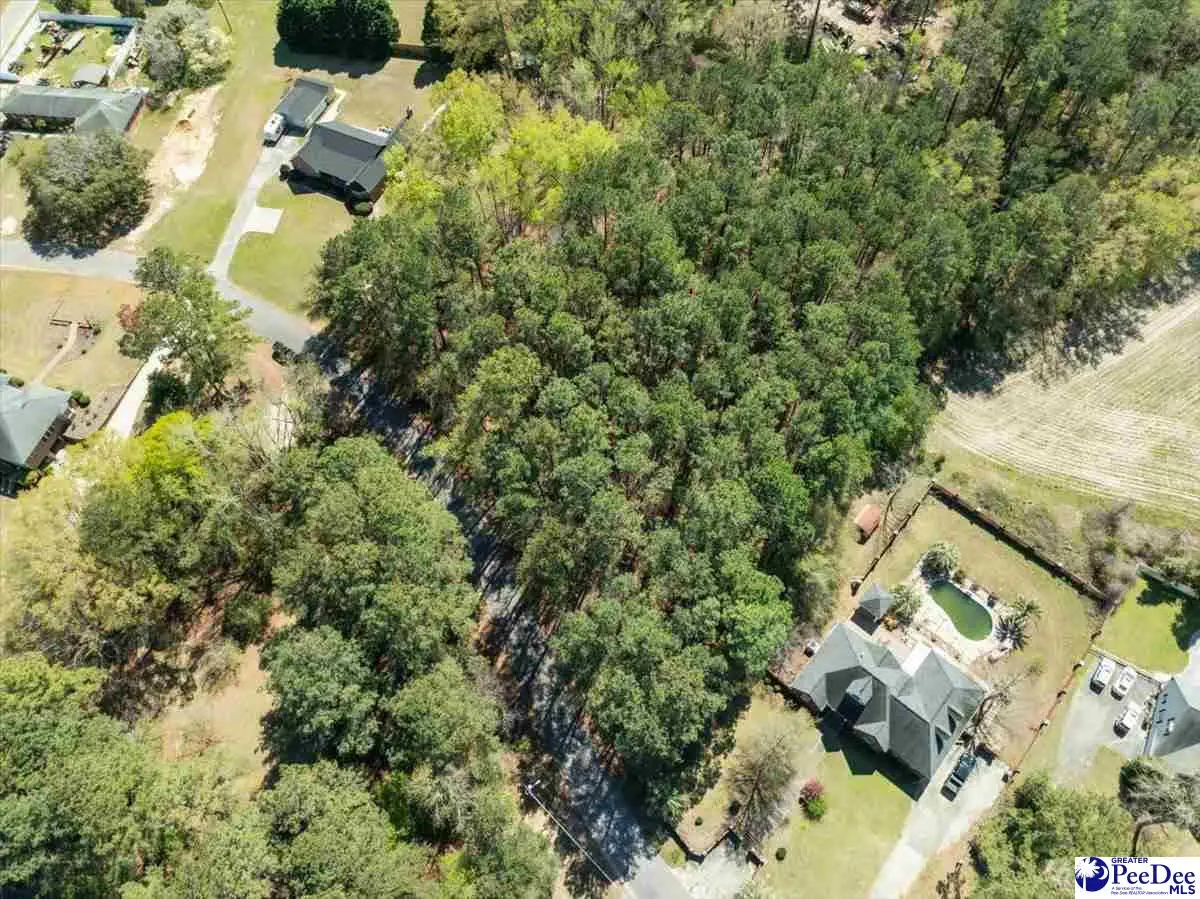 255 Timberlake Dr, Florence, SC 29501 - #1