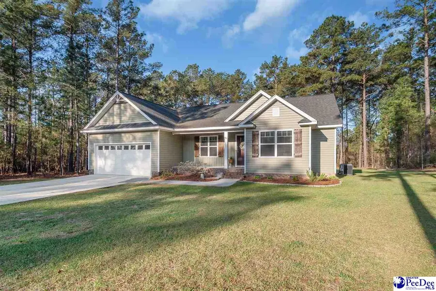 40 Thistledown Lane, Cheraw, SC 29520 - #2