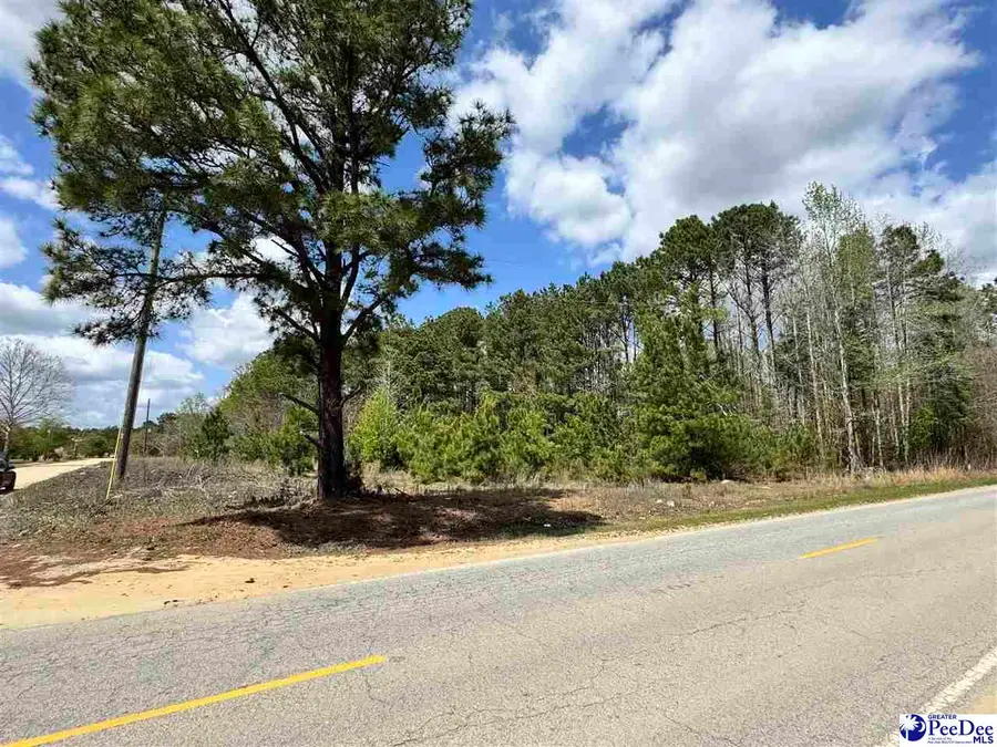 1549 Lester Rd., Dillon, SC 29536 - #2