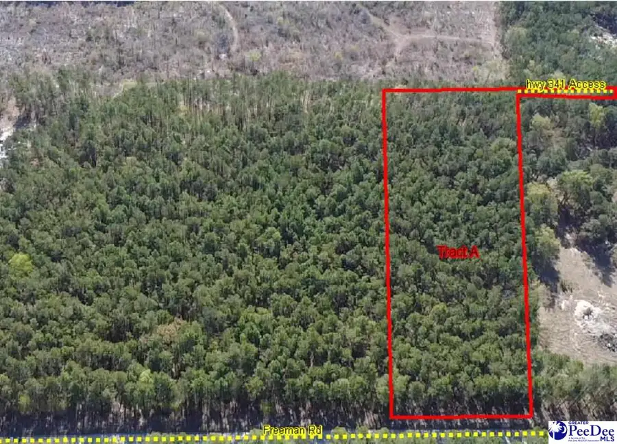 TBD Freeman Rd (lot A), Bethune, SC 29009-0000 - #2