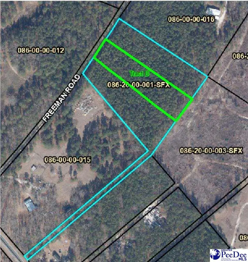 TBD Freeman Rd (lot B), Bethune, SC 29009-0000 - #1