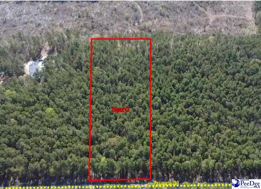 TBD Freeman Rd (lot C), Bethune, SC 29009-0000 - #2