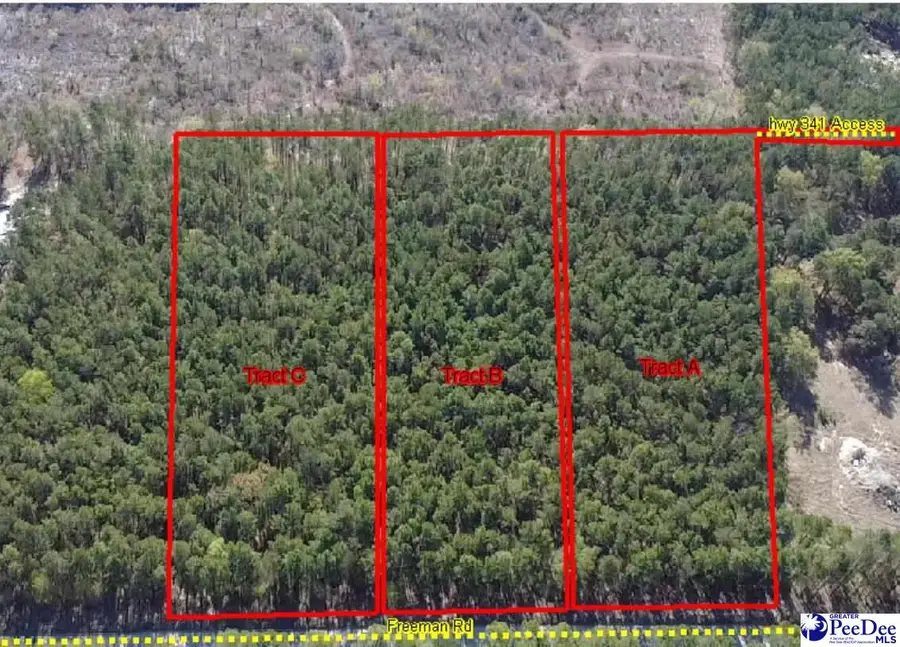 TBD Freeman Rd (lot C), Bethune, SC 29009-0000 - #3