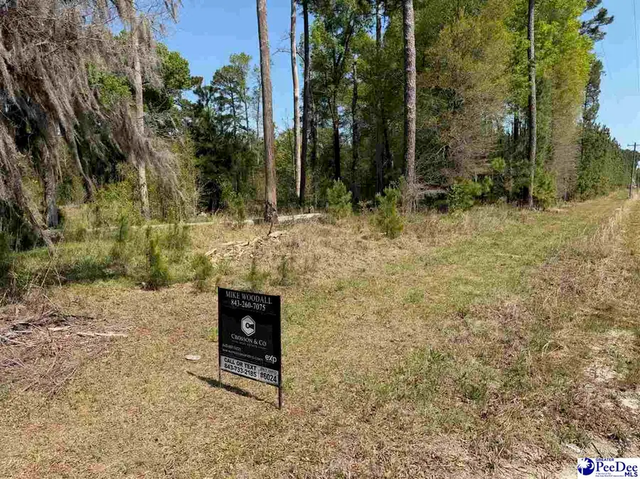 --- Old No 4 Hwy, Coward, SC 29530-0000 - #3