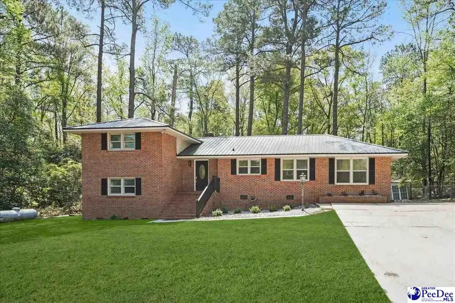 53 Kings Rd, Quinby, SC 29506 - #2