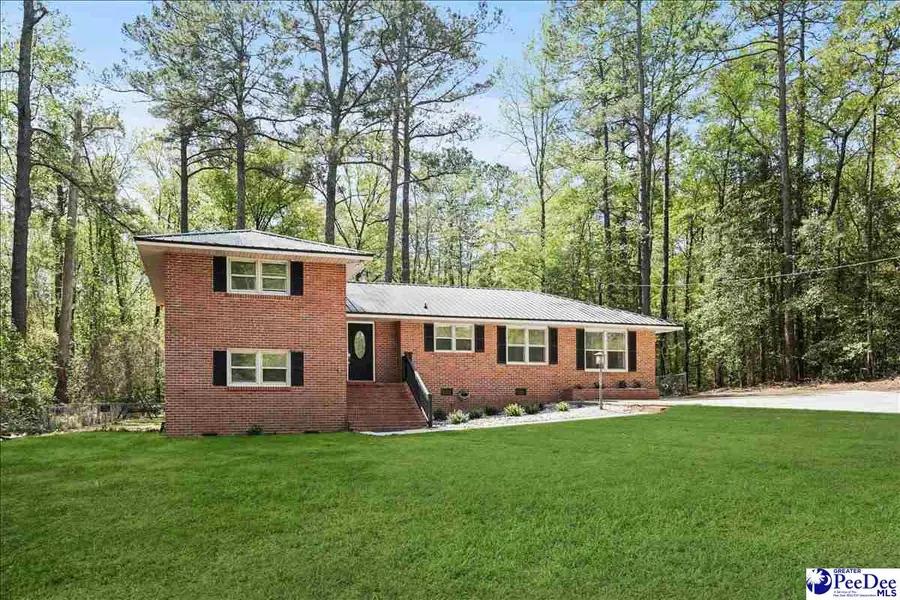 53 Kings Rd, Quinby, SC 29506 - #3