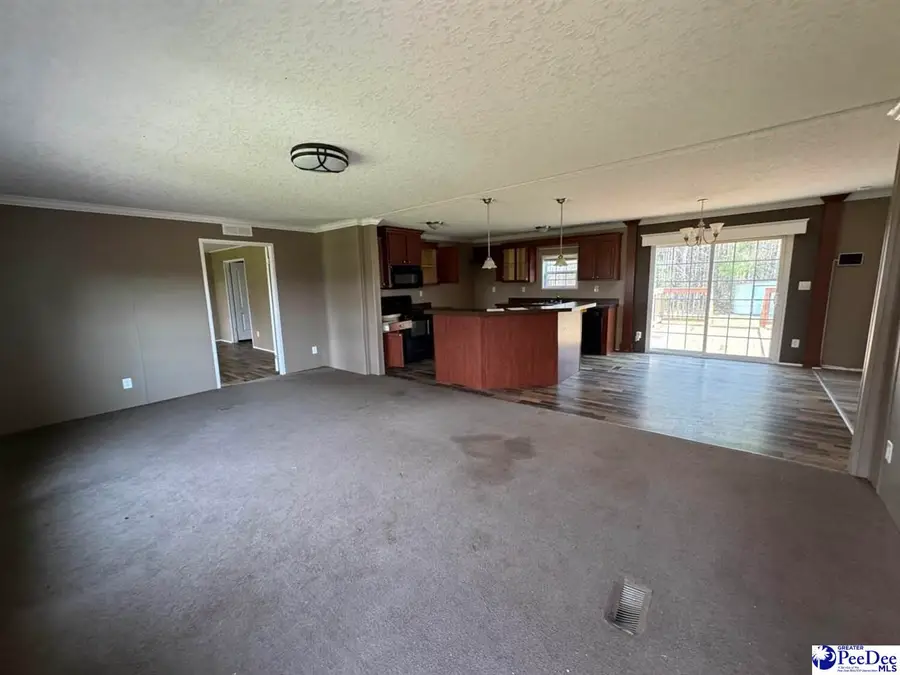 800 Bay Branch Rd, Lamar, SC 29069 - #2