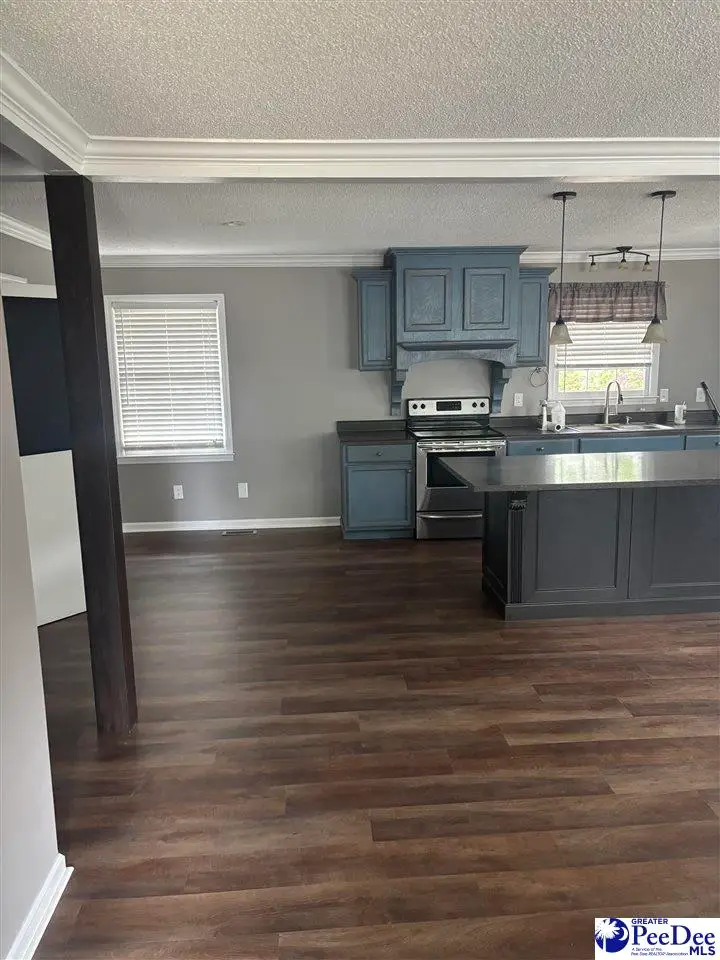 107 China Drive, Latta, SC 29565 - #2