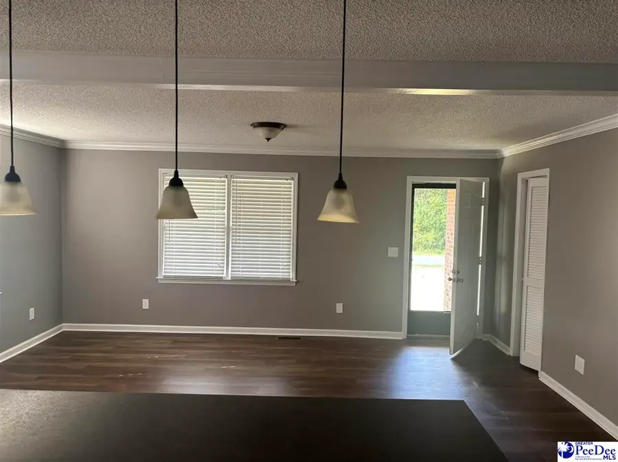 107 China Drive, Latta, SC 29565 - #3