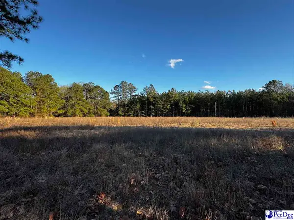 TBD Lexyryan Court - Lots H & I, Latta, SC 29565