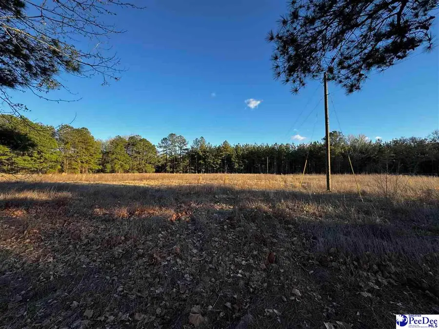 TBD Lexyryan Court - Lots H & I, Latta, SC 29565 - #2