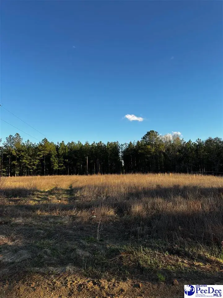TBD Lexyryan Court - Lots H & I, Latta, SC 29565 - #3