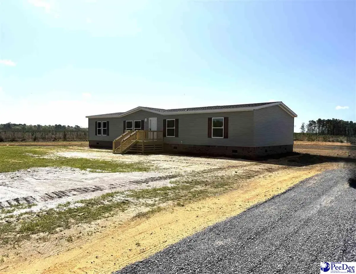 1507 Patty Road, Cades, SC 29518 - #1