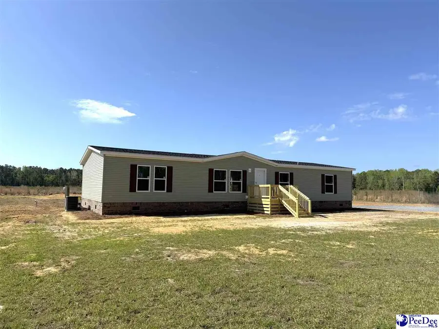 1507 Patty Road, Cades, SC 29518 - #2