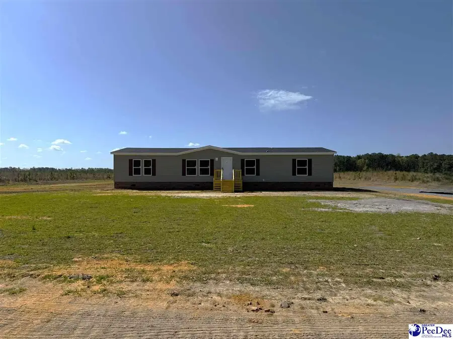 1507 Patty Road, Cades, SC 29518 - #3