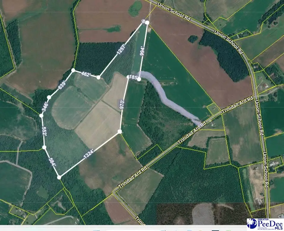 TBD 50.5 Acres Off Union School Rd, Coward, SC 29530-5017 - #1