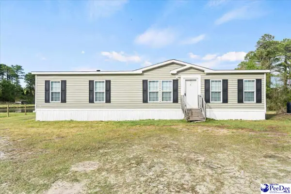 1342 Pee Dee Church Road, Dillon, SC 29536