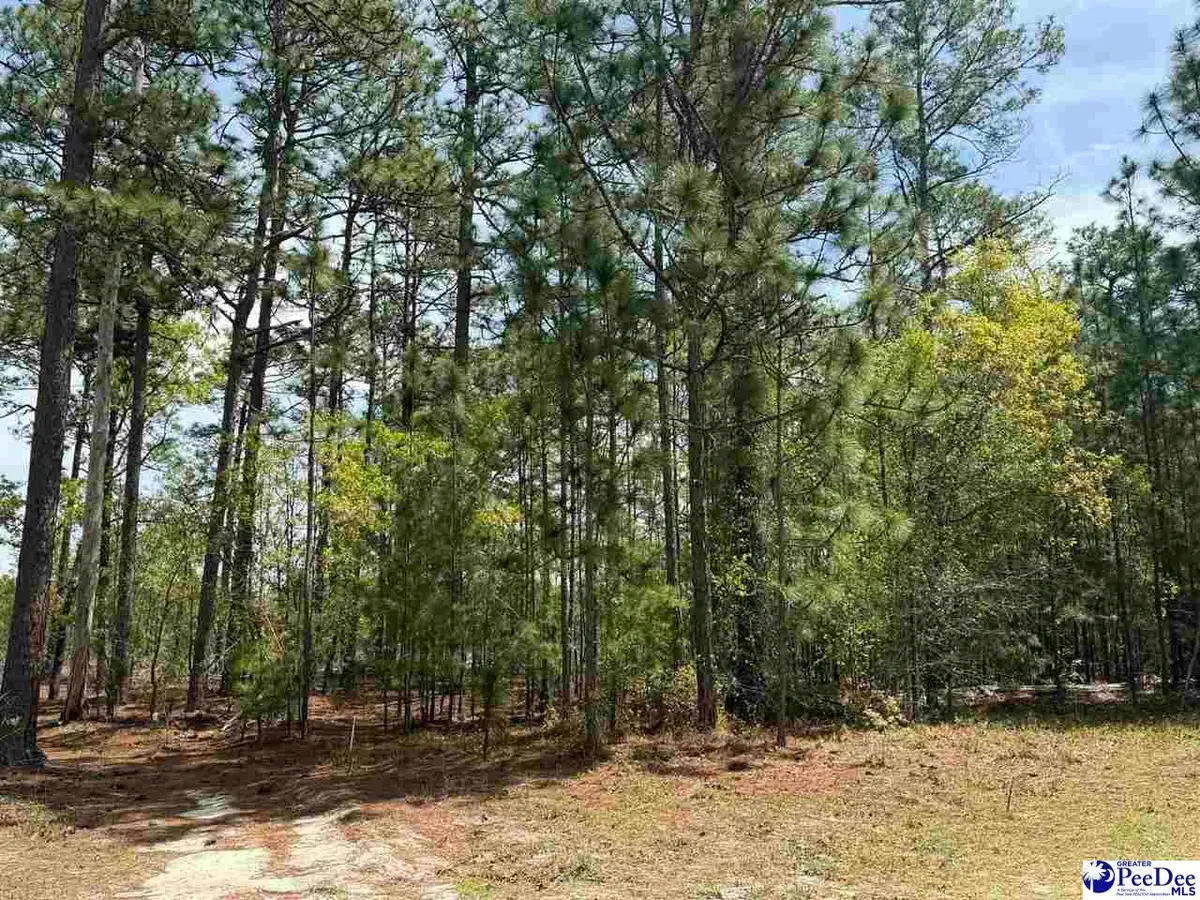 TBD Sandbar Court, Dillon, SC 29536 - #1