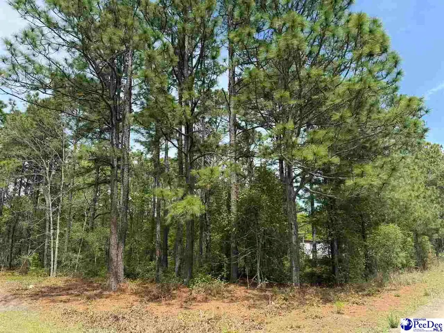 TBD Skylite Drive, Dillon, SC 29536 - #2