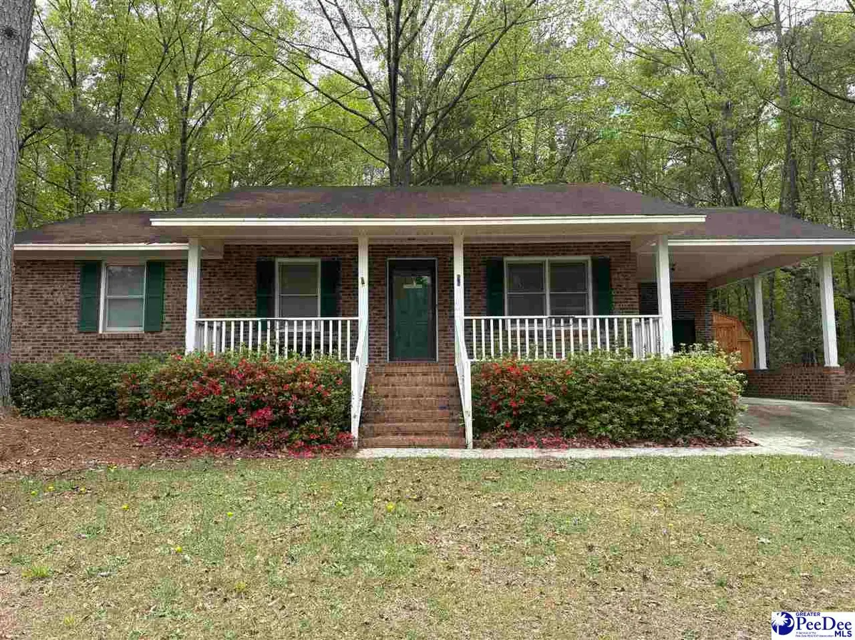 96 Dogwood Springs Rd, Bishopville, SC 29010 - #1